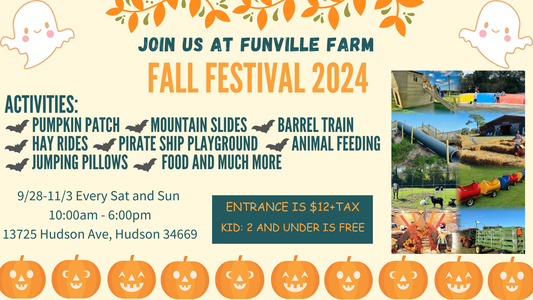 Fall Festival / Pumpkin Patch Weekend Admission